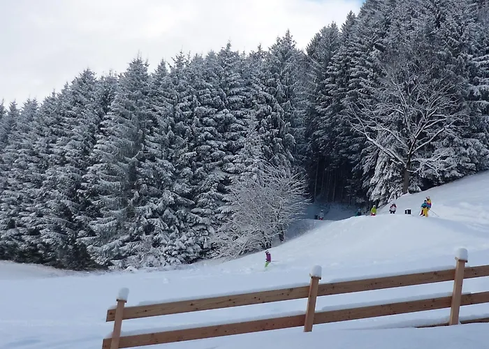 Penthouse Alpine Living Direkt An Der Skipiste By Schladmingurlaub 恩斯塔尔豪斯